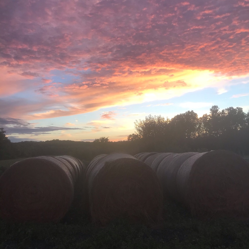 Meet your Posher, Ella